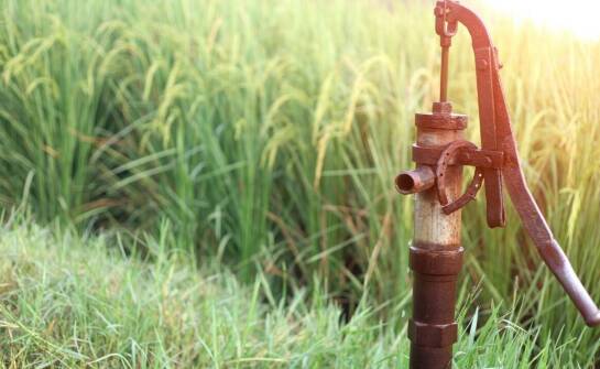 Jak właściwie konserwować pastwiskowe poidło dla koni, by służyło dłużej?