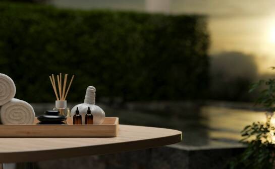 Odkryj magię palmiarni po zmroku – nocne zwiedzanie.