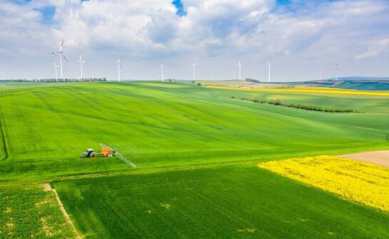 Wpływ systemów nawadniających na rozwój roślin w warunkach zmieniającego się klimatu.