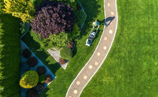 Jakie są wyzwania związane z przeprowadzaniem inwentaryzacji zieleni na miejskich terenach?