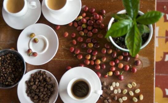 Jakie kosmetyki pomogą w walce z oznakami starzenia się skóry?