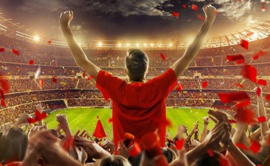 Ochronne sportowe siatki – jak wpływają na komfort kibiców?