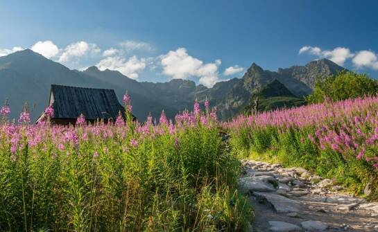 Letnie rozrywki w Tatrach - noclegi z bryczką do przejażdżek