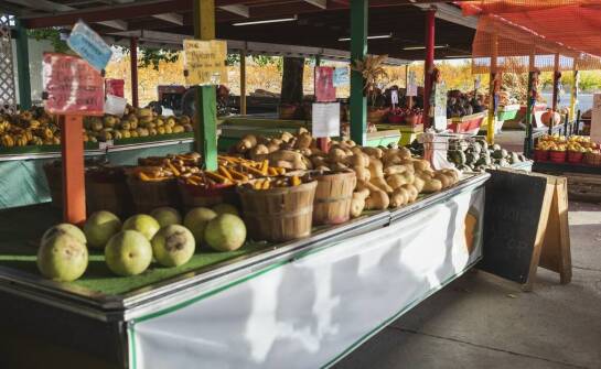 Jak wizerunkowa fotografia może wspierać rozwój lokalnych przedsiębiorstw?