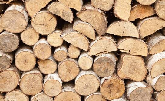 Jak długość brzozowych polan wpływa na ich efektywność w użytkowaniu?