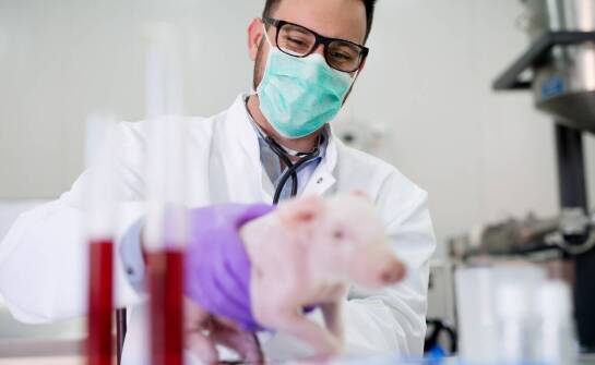 Jak dostosować paszowe mieszanki do zdrowotnych potrzeb prosiąt?