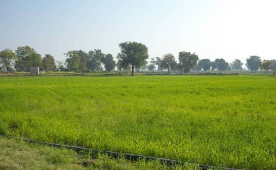 Indiańska wioska: unikalne kulturowe doświadczenie dla turystów