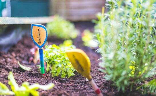 Przewodnik po wyborze czujników wilgotności i deszczu dla Twojego ogrodu