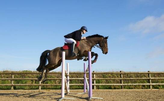 Jakie są najważniejsze cechy dobrego instruktora do jazdy konnej?