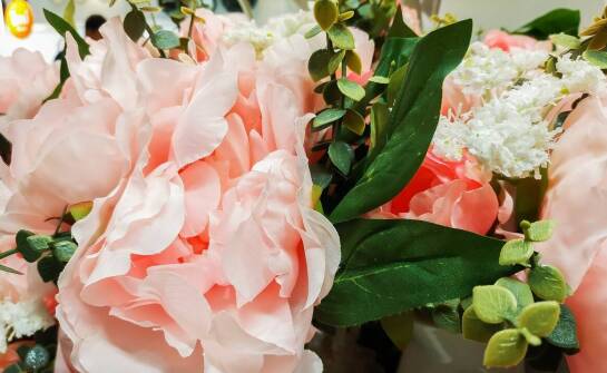 Wprowadzenie do hortensji vanille fraise na pniu: charakterystyka i zastosowanie