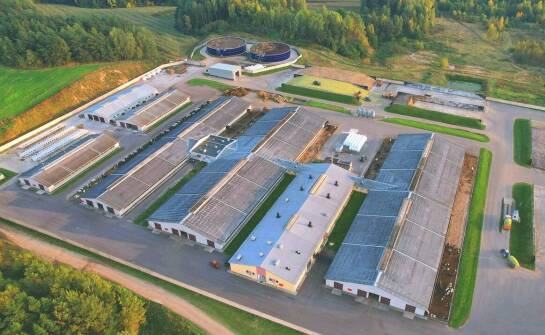 Jakie korzyści niosą ze sobą nowoczesne technologie w produkcji gołębników?