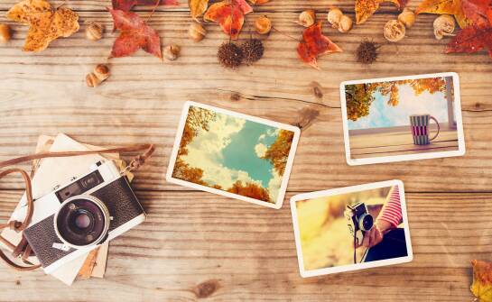 Album typu jamnik jako wyjątkowy sposób na przechowywanie wspomnień
