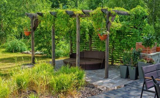 Winorośl w Twoim ogrodzie – co proponuje ogrodniczy sklep internetowy?