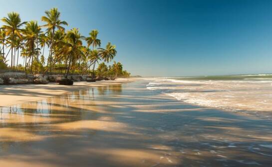 Dlaczego warto wybrać Dominikanę jako cel podróży dla pasjonatów kitesurfingu?