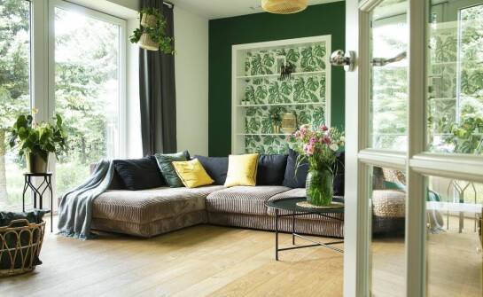 Jakie udogodnienia oferują domy na wynajem w Dąbrówce?