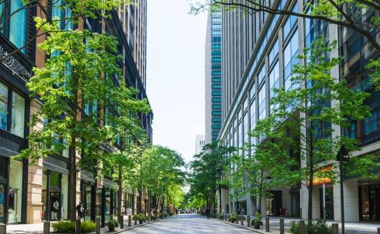 Geoinżynieria jako klucz do zrównoważonego rozwoju miejskiej infrastruktury