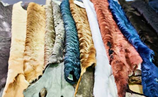 Jak lombardy dostosowują swoje oferty do zmieniających się trendów na rynku?