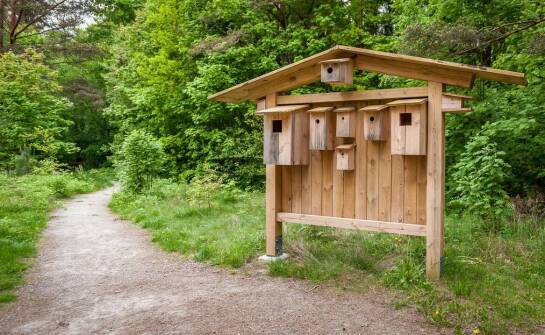 Budki lęgowe a zmiany klimatyczne: jak pomagają ptakom przetrwać?