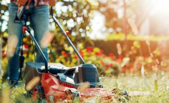 Jak ogrodowe rozdrabniacze mogą pomóc w redukcji zielonych odpadów w Twoim ogrodzie?
