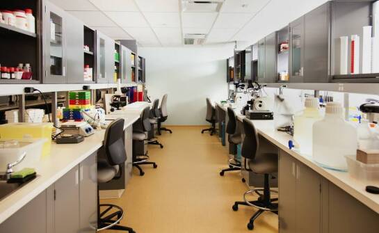 Laboratorium w Żorach: Systematyczne szkolenia dla pracowników jako gwarancja jakości