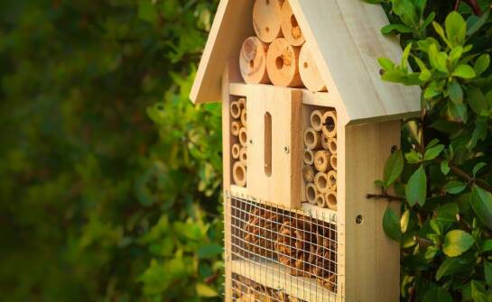 Rola domków dla zapylających owadów w utrzymaniu równowagi ekologicznej