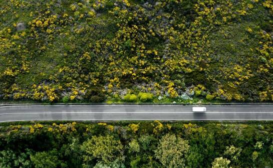 Rola celnego doradztwa w optymalizacji kosztów transportu na Dolnym Śląsku