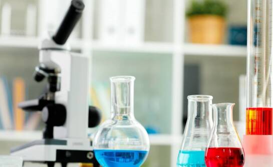 Chemiczne sorbenty a ich znaczenie w rekultywacji zdegradowanych terenów