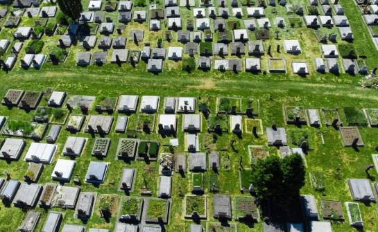 Rola farnego cmentarza w edukacji historycznej młodzieży