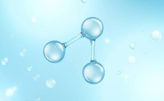 Rola aminokwasów w procesach anabolicznych i katabolicznych