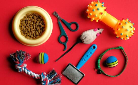 Wybór najlepszych miękkich przysmaków dla seniorów psów