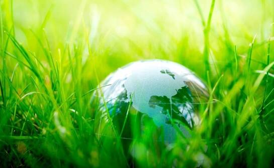 Wpływ zaniedbania czyszczenia separatorów ropopochodnych na środowisko