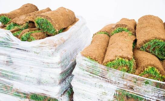 Jak folia z darnią wpływa na ochronę gleby przed erozją?