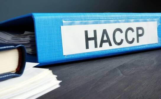Jak audytor HACCP wpływa na przygotowanie firmy do kontroli przez PIS?
