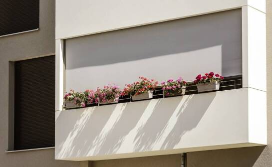 Jak dbać o białe 70-centymetrowe skrzynki balkonowe, by zachowały piękny wygląd?