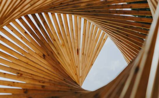 Naturalne piękno trzciny w architektonicznych projektach