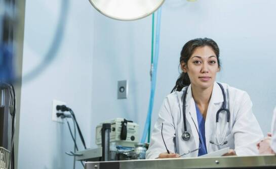 Profilaktyka przeciwpasożytnicza u psów – usługi oferowane przez klinikę