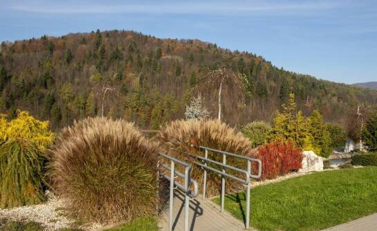 Jak dom spokojnej starości w województwie dolnośląskim promuje aktywność fizyczną wśród mieszkańców?