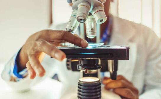 Znaczenie histopatologicznych badań w diagnostyce nowotworów u psów