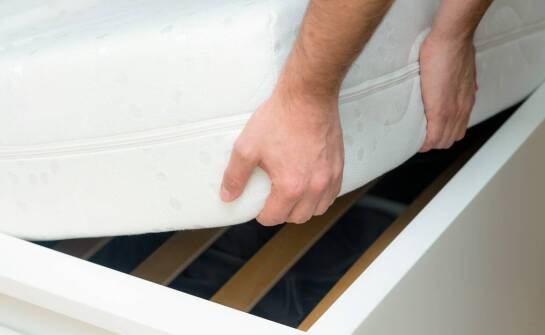 Dlaczego warto zaufać specjalistom w eliminacji pluskiew?