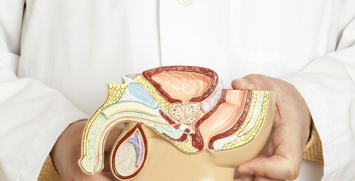 Rola urologa w leczeniu chorób prostaty – co warto wiedzieć?