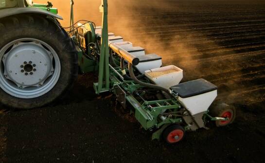 Efektywność kosztowa inwestycji w warzywną sadzarkę – analiza korzyści