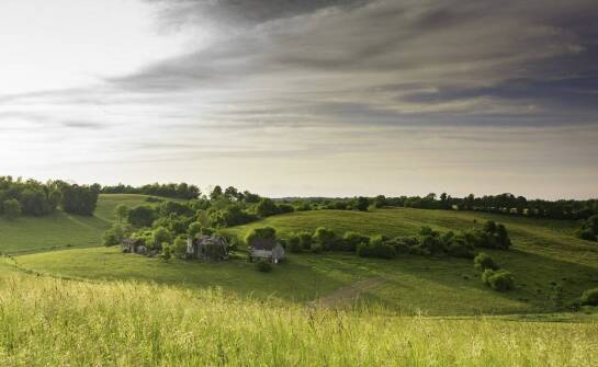 Jakie są najważniejsze czynniki wpływające na koszt wywozu szamba w Dobieszu?
