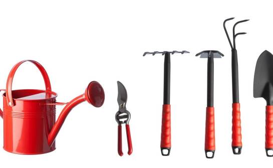 Jakie są najważniejsze cechy dobrej sadzarki do warzyw?