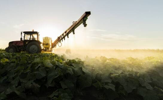 Jakie ekologiczne korzyści zapewnia sadzarka do tytoniu?