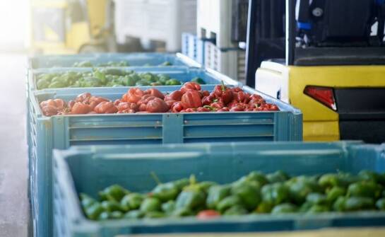 Znaczenie terminowych dostaw owoców i warzyw przez hurtownie dla sektora HoReCa