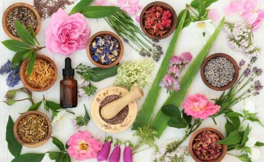 Naturalne terapie a leczenie problemów trawiennych