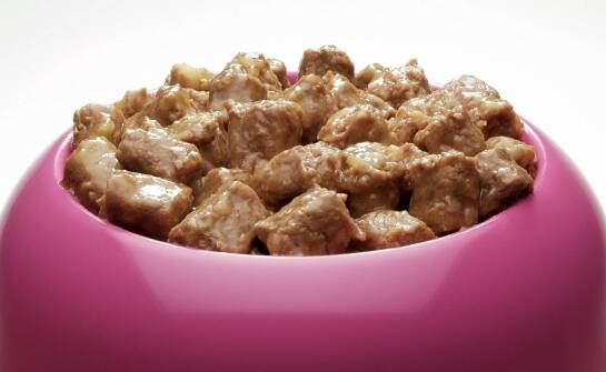 Wpływ naturalnych składników w karmach Naturea na odporność u kotów