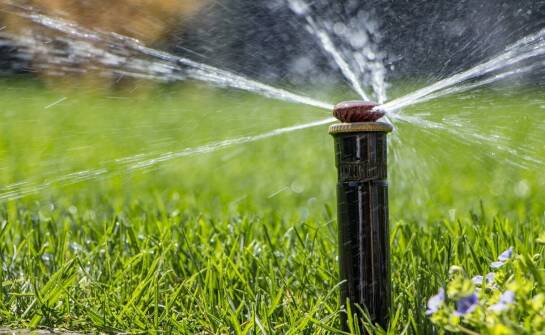 Jakie są najlepsze praktyki w projektowaniu automatycznych systemów podlewania?