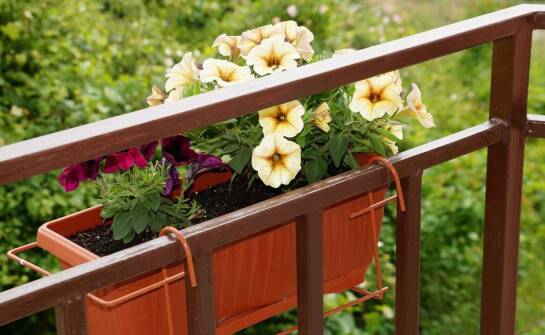 Skrzynka balkonowa 70 cm - wytrzymałość i design na każdą porę roku.