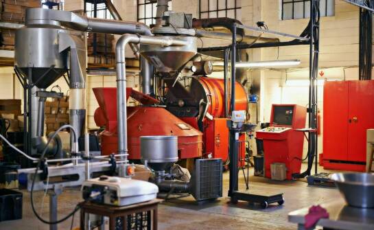 Jak obróbka nasion wpływa na jakość i wydajność w uprawach?